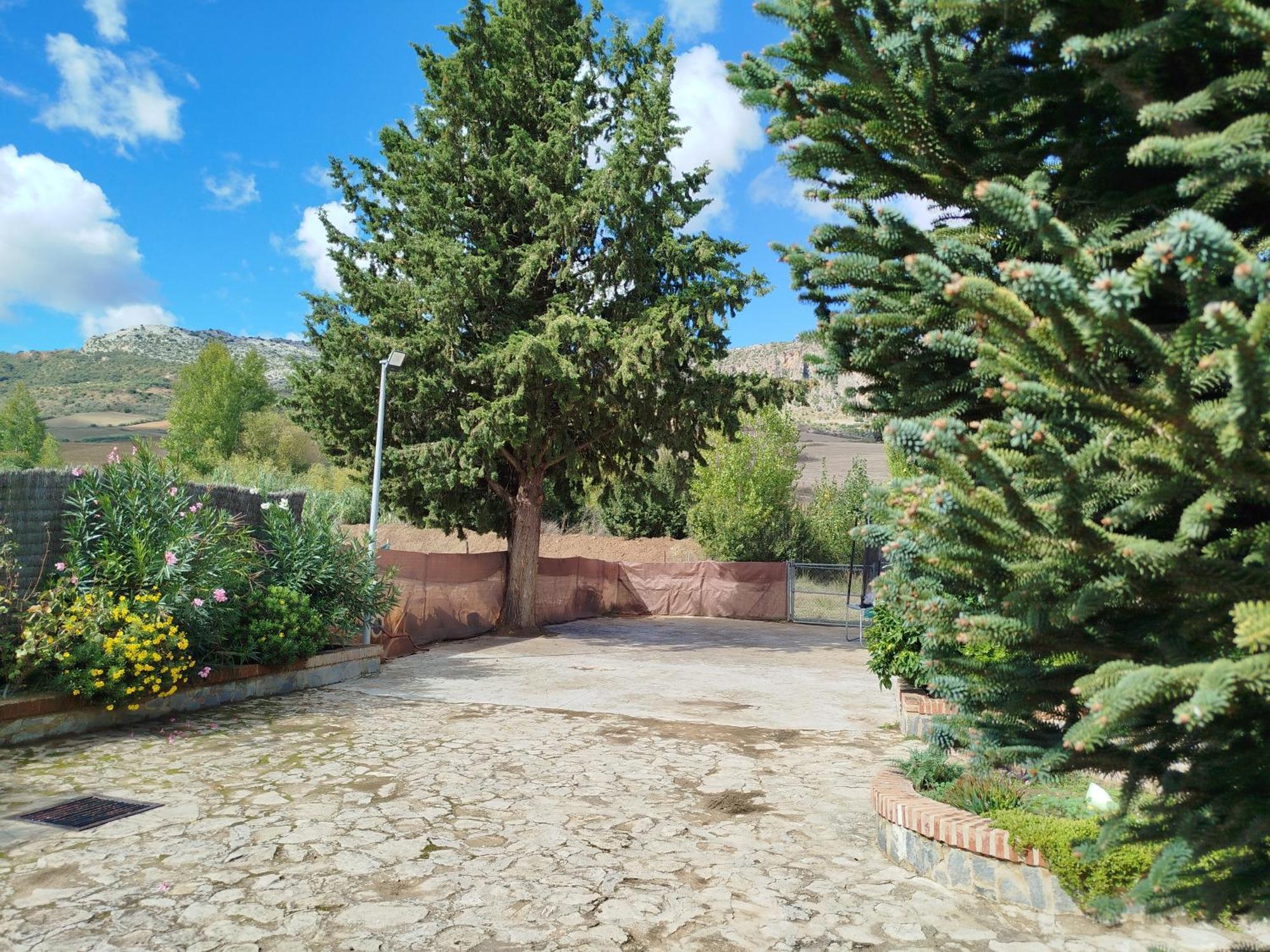 Casa Rural La Maestra Ronda Exteriör bild